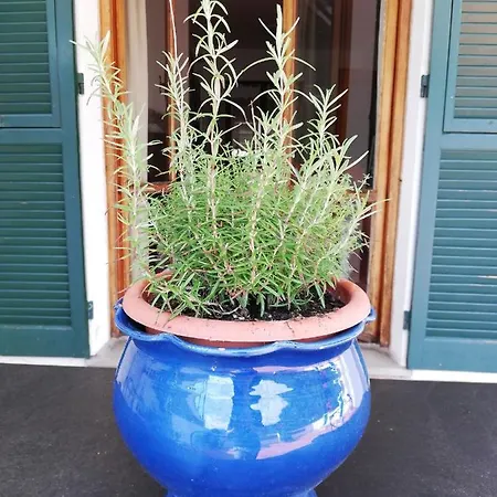 別荘 Fg Apartment, Mare E Monti, 70 Sqm, 2 Bedrooms, 1 Bathroom, Surrounded By Greenery, With Free Parking And Wifi Conveniently Located Near The Highway *