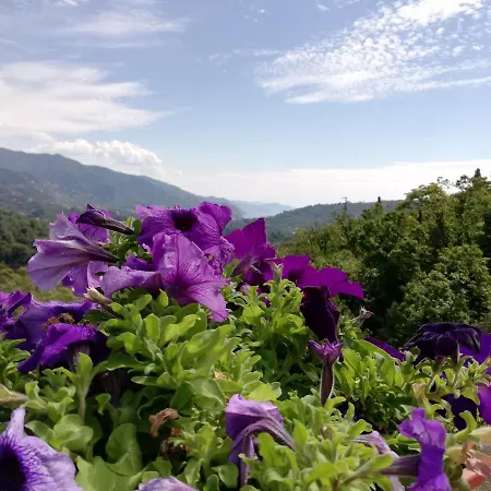 別荘 Fg Apartment, Mare E Monti, 70 Sqm, 2 Bedrooms, 1 Bathroom, Surrounded By Greenery, With Free Parking And Wifi Conveniently Located Near The Highway ラッパロ